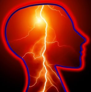 memória miscular cérebro brain